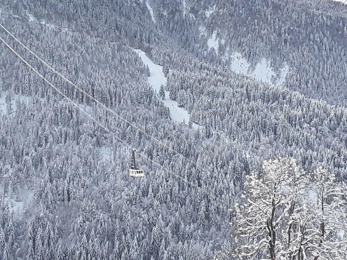 L'Aigle Royal Lejlighed Vaujany Eksteriør billede